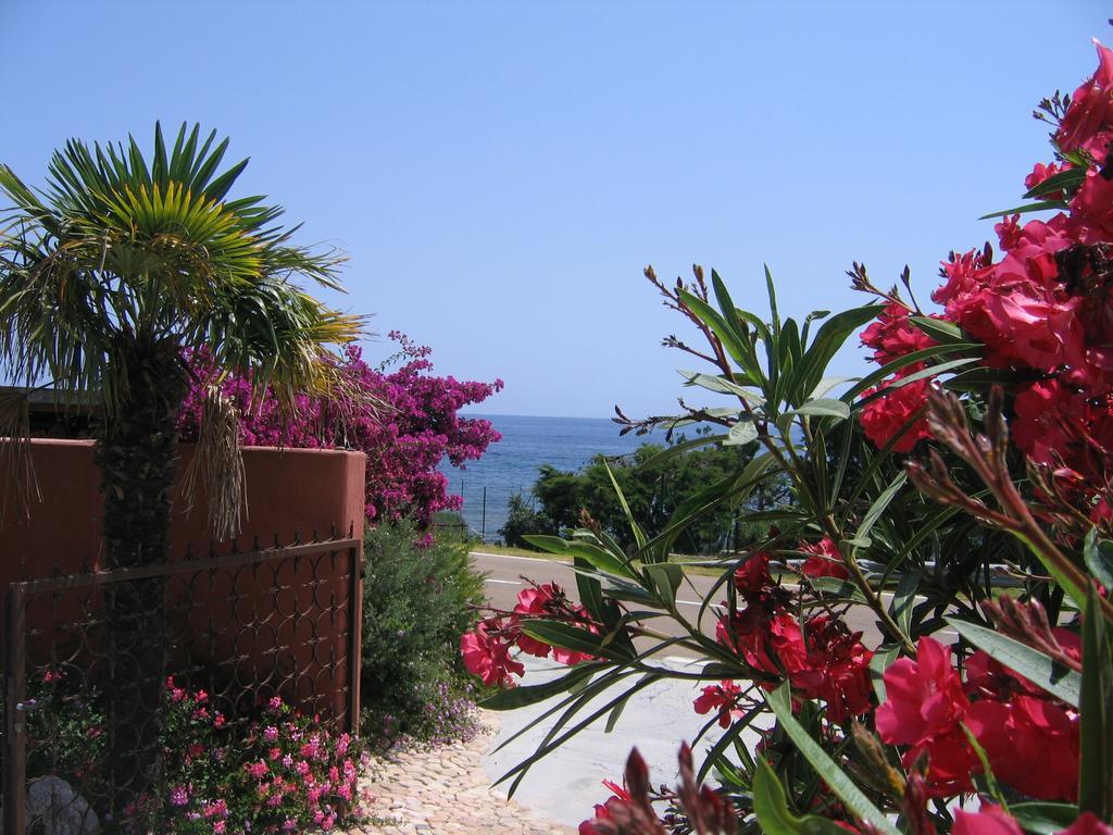 Les Bungalows de Figha Tarcu Extérieur photo