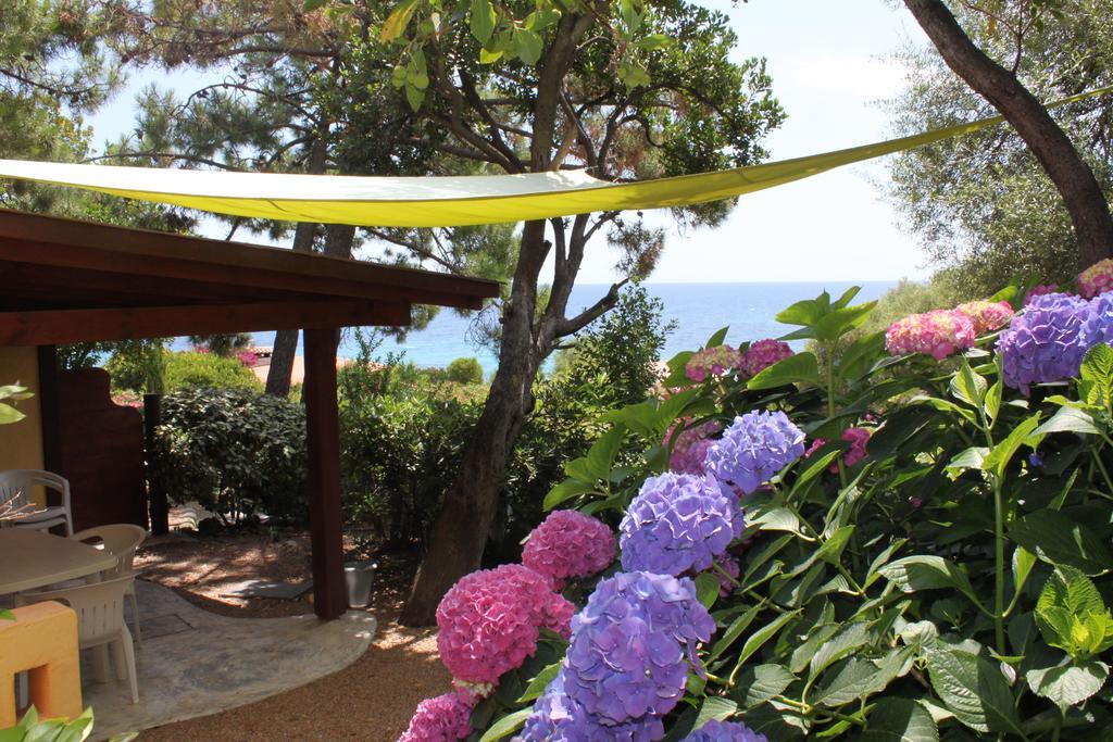 Les Bungalows de Figha Tarcu Extérieur photo